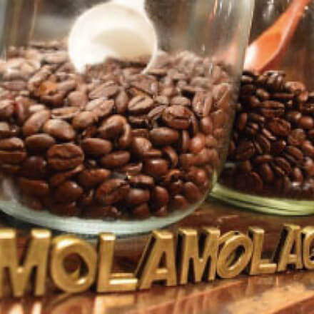 MOLA MOLA CAFÉ　コーヒー